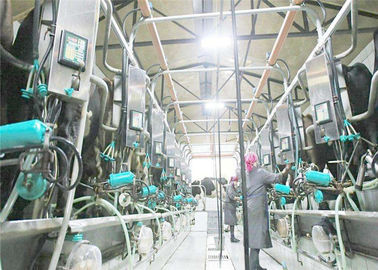 China Milchverarbeitungs-Anlage des kleinen Maßstabs/Jogurt-Herstellungs-Ausrüstung KQ-1000L usine
