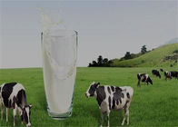 Easy Operate Yogurt Production Line Business Plastic Bottle For Plant